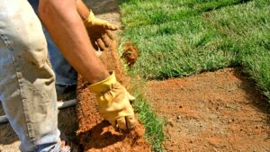 landscaping on a slope near house