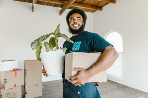 Mover holding a plant and a box